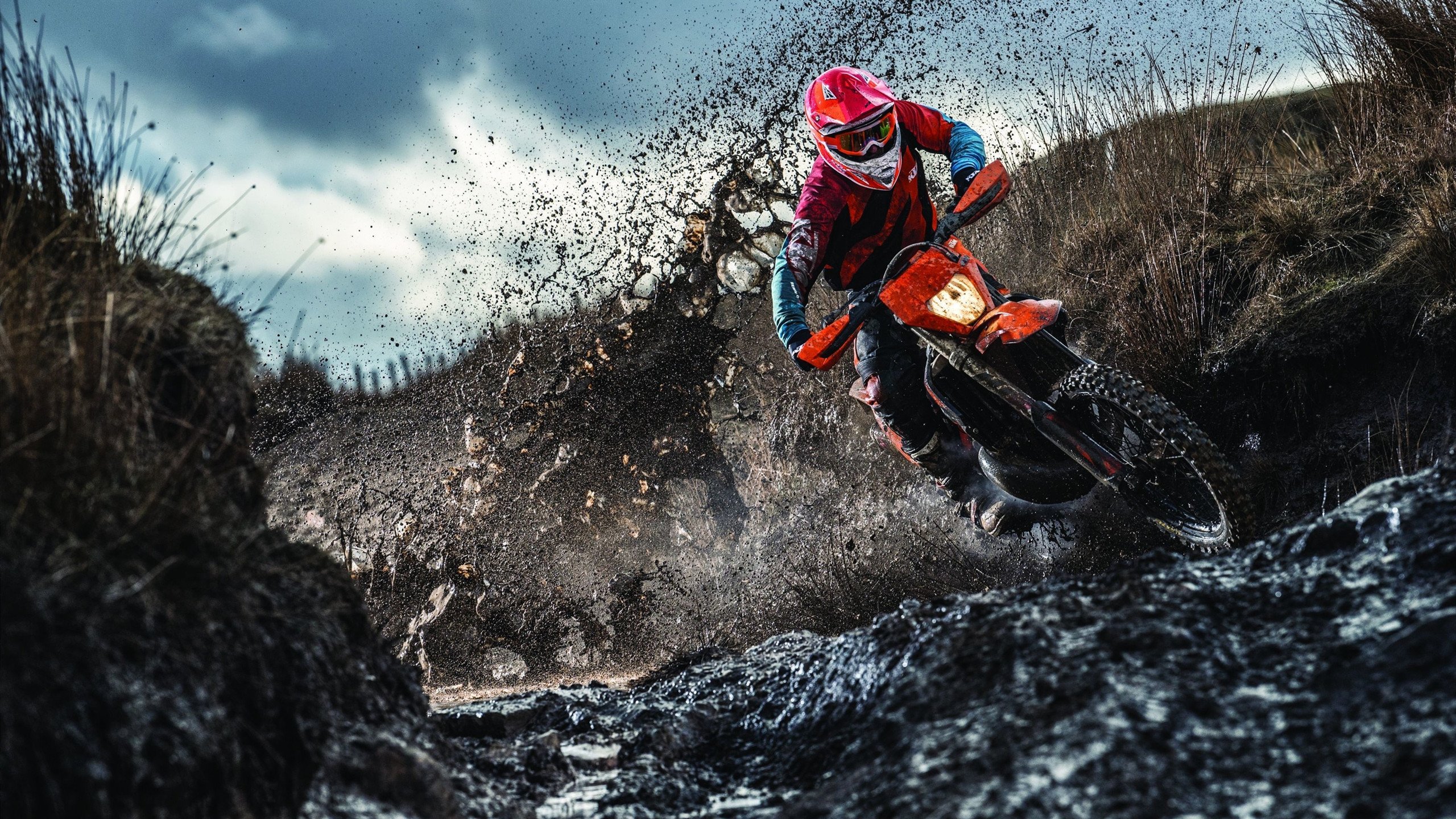 锡安攻防两端统治,火箭火力压制浙江队,一场战术与天赋的完美融合