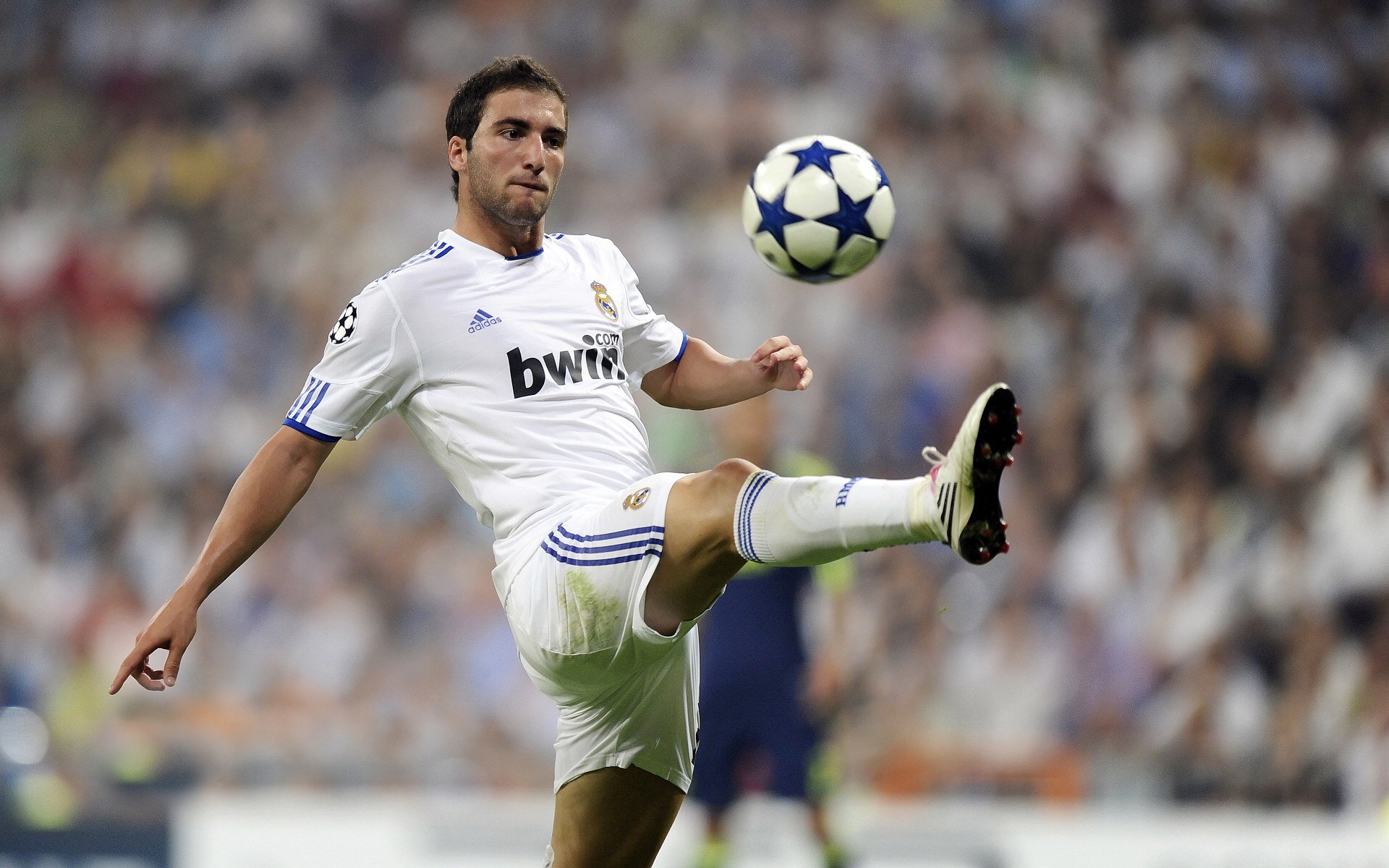 威廉姆斯鏖战阿斯顿马丁,皮亚斯特里扛起全队